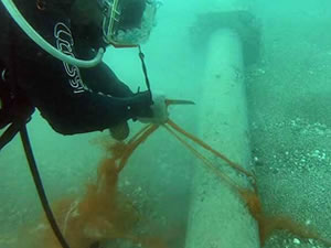 'Marka'sız ağ ile avlanan balıkçılara ceza