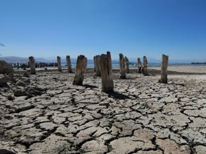 Van Gölü'ndeki kuraklık 100 yıllık iskeleyi ortaya çıkardı!.