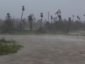 Ian Kasırgası nedeniyle Florida açıklarında göçmen teknesi battı: 23 kayıp