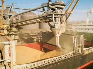 Tahıl koridorundan taşınan yük 6 milyon tonu geçti