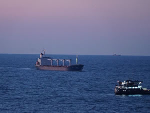 Tahıl yüklü 13 gemi daha Ukrayna limanlarından yola çıktı