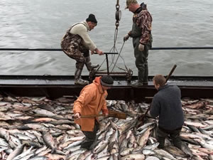 Norveç’te Rus balıkçılara güvenlik kısıtlaması