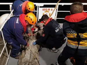 Malta bayraklı gemide zehirlenen 5 kişi hastaneye kaldırıldı