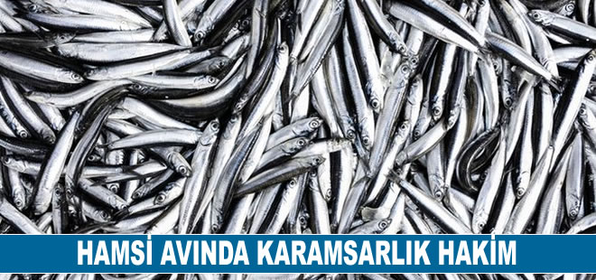 Hamsi avında karamsarlık hakim