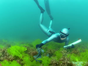 Şahika Ercümen’in çıkardığı atıklar, kupaya dönüştürülüyor