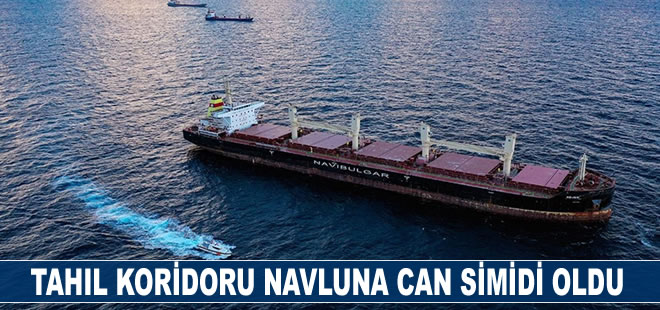 Tahıl Koridoru'nda 200 gemiyi aşan kuyruk, navlunda resesyonu frenledi!