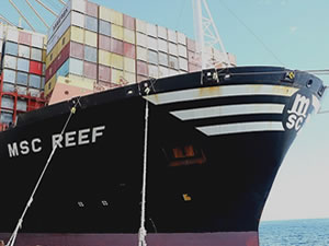 Dev konteyner gemisi "MSC Reef" Tekirdağ'da