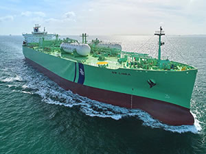 Dev LNG gemisi Türkiye'ye ulaştı: Nakil işlemi başladı