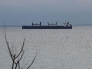 Tekirdağ'da karaya oturan 190 metrelik gemi kurtarıldı