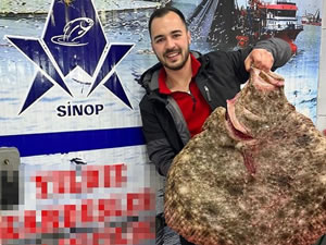 Karadeniz'de avlanan dev kalkan balığı 6 bin TL'ye satıldı