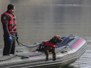 Jandarmanın su altı arama köpekleri, derindeki kayıp cesetlerin yerini tespit ediyor