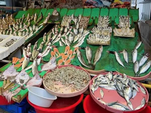 Balık tezgahlarında palamutun yerini çinekop ve hamsi aldı