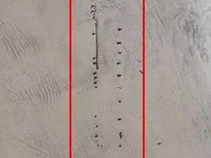 Florida’da 1800'lerden kalma ahşap gemi enkazı bulundu