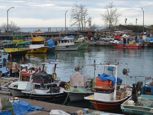 Batı Karadeniz'de balıkçılar hamside umduğunu bulamadı