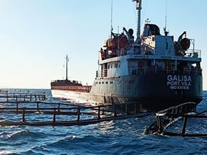 Didim’de kargo gemisi yapım aşamasındaki balık çiftliğine çarptı