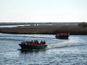 Yunanistan Türkiye sınırında duvarı uzatıyor ,AB’nin göçe karşı tutumu tartışma yaratıyor