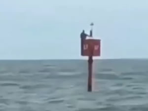 Kayıp balıkçı iki gün şamandırada bekleyerek hayatta kaldı