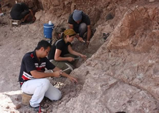 Siirt'te 2 bin yıllık liman bulundu