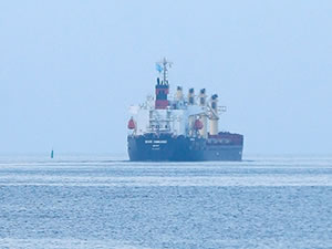 Tahıl koridorundan 626 gemi geçti