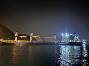 Yük gemisi karaya oturdu, İstanbul Boğazı'nda gemi trafiği durdu