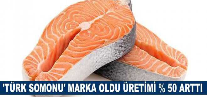 ‘Türk Somonu’ marka oldu üretimi bir yılda % 50 arttı