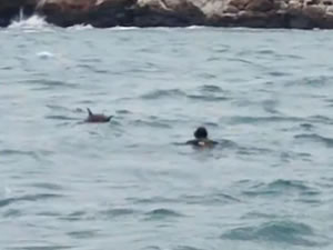 Bulgaristan açıklarında mayın paniği