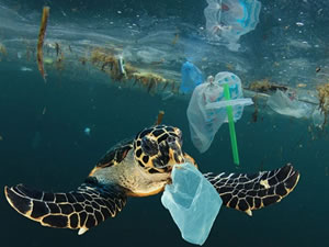 İstanbul ve Kocaeli'ndeki deniz kirliliğini Türkiye Çevre Ajansı denetleyecek