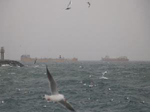 İstanbul’da bazı vapur seferleri hava muhalefeti nedeniyle yapılamıyor