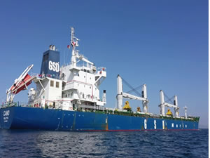 GSD Denizcilik, yeni bir şirket kuruyor