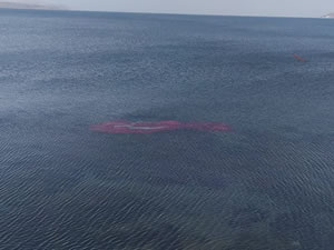 Göle düşen dev Türk bayrağı Sahil Güvenlik ekiplerince çıkarıldı