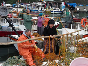 Fedakar kadınlar, Karadeniz’in hırçın sularında balık avlıyor, ağ çekiyor, ağ temizliyor ve istif yapıyor