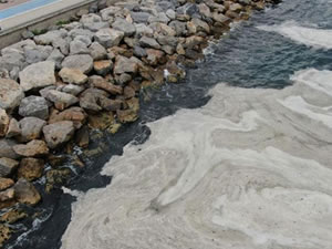 İstanbul’da müsilaj yeniden görüldü