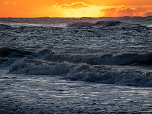 ABD'nin güney kıyılarında deniz seviyesi 2010'dan bu yana 12 santimetre yükseldi