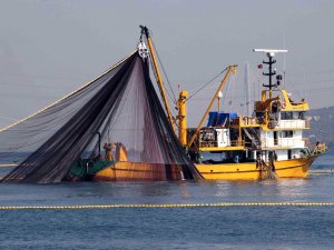 "Sürdürülebilir balıkçılık için avlanma yasağına uyulması" çağrısı