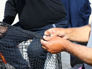 Tekirdağlı balıkçıların ağ mesaisi başladı