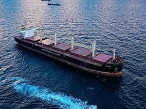 'Tahıl sevkiyatına izin veren anlaşma tehlikede'