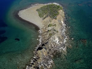 "Yeşil Nobel" ilk kez Türkiye'den bir isme verildi