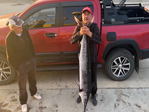 2 metre boyunda, 50 kilogram ağırlığında merlin balığı avladı