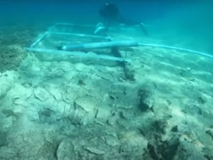 Sular altında 7 bin yıllık yol keşfedildi: Kayıp deniz medeniyetine ait