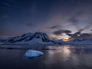 Antarktika'da bu yıl rekor seviyede erime gerçekleşti