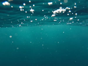 Florida'da bir kişi su altında en uzun süre yaşama rekorunu kırdı