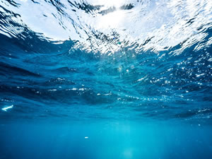 İklim değişikliğiyle birlikte deniz suyu sıcaklıkları arttı