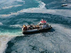 Deniz taşımacılığı kaynaklı atıkların Marmara'da müsilaj oluşumunu tetikleyebileceği uyarısı