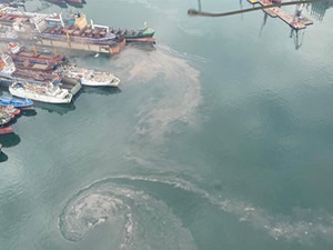 Denizi kirleten gemilere caydırıcı yasa önerisi