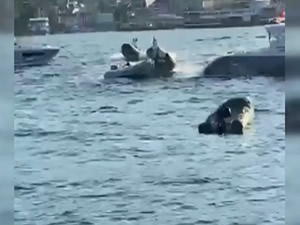 Burgazada açıklarında kontrolden çıkan bot, tekneye çarparak durdu