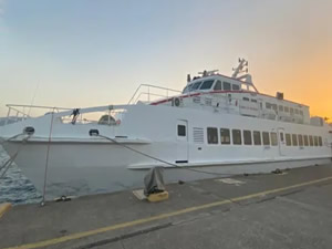 Rodos Adası'ndaki yangın nedeniyle tahliye edilen 95 turist, feribotla Marmaris'e getirildi