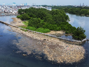 Endonezya'nın başkenti Cakarta'nın kıyısında biriken plastik atıklar çevre kirliliğine neden oluyor