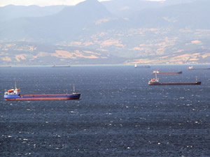 Sinop'ta kuvvetli rüzgar nedeniyle gemiler limana sığındı