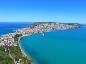 Sinop'ta deniz suyunun ani soğumasıyla şoka giren tonlarca balık kıyıya vurdu