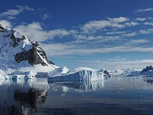 Antarktika'da 20 kollu "çilek benzeri" şekle sahip deniz canlısı keşfedildi